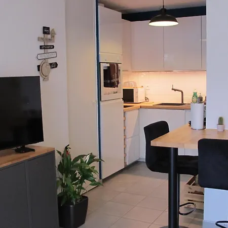 L'escale De L'aeropostale טולוז